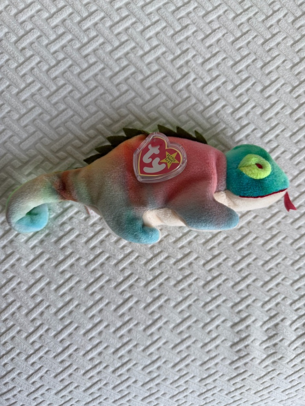 Ty Rainbow Chameleon Plush “Iggy”